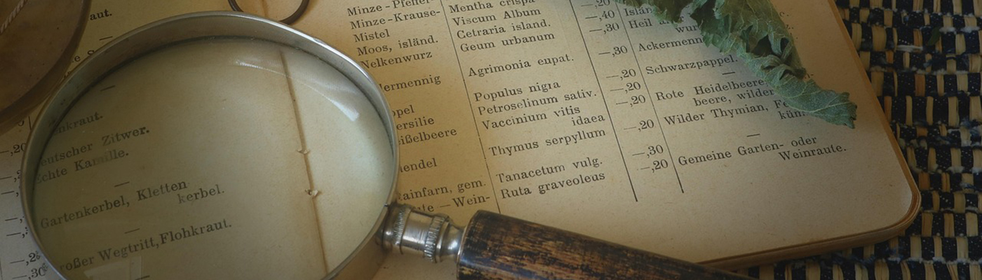 Natural remedies and holistic wellness representing naturopathic care